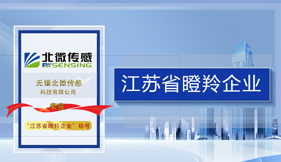 恭喜！北微傳感榮獲“瞪羚企業(yè)”稱號(hào)